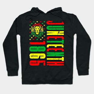 Afro American Juneteenth Lion Africa Black History USA Tee Hoodie